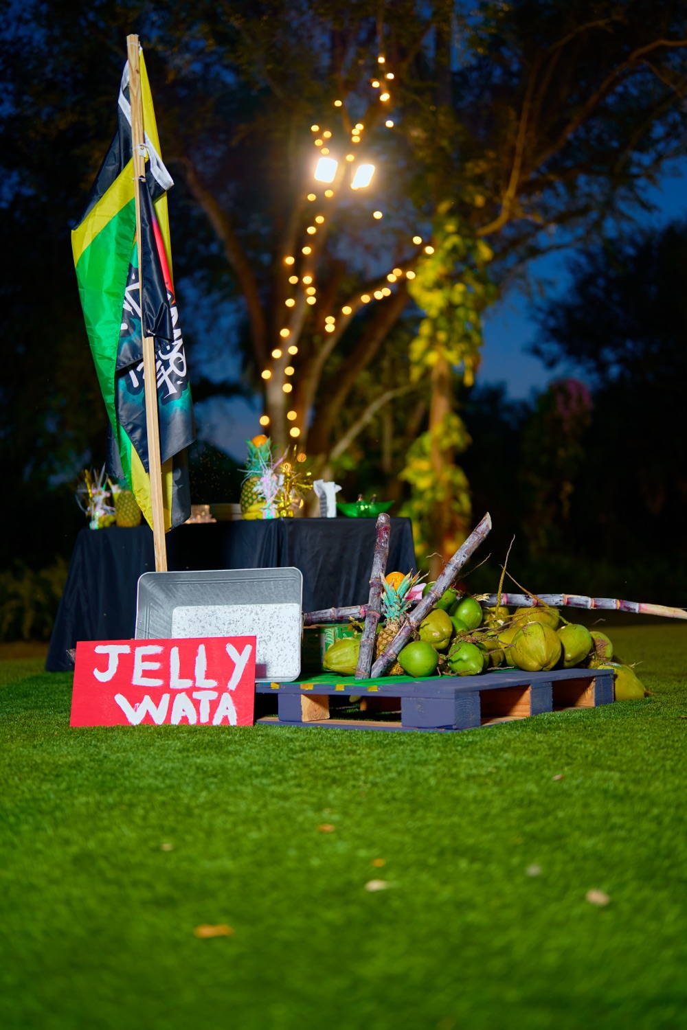 Evening garden celebration with lit tree and custom guest sign